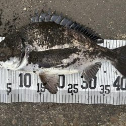 イチノ兄弟、釣果！