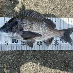 イチノ兄弟、釣果！