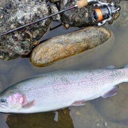 出遅れで苦戦　～天竜川ルアーフライテンカラ…