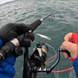 ブレードジギング