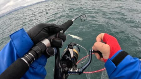 ブレードジギング