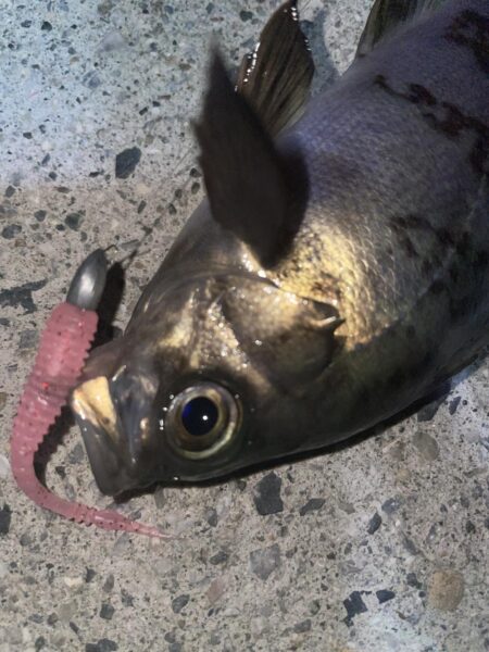 爆風ライトゲームでランカーGET❗️