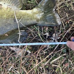 真冬のスモール