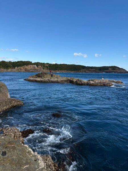 和歌山県串本須江（浜勝渡船）でグレ釣り