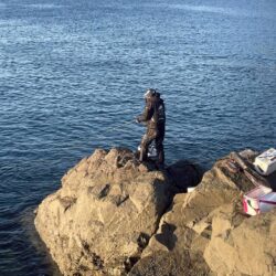 三重県錦（坂口渡船）でグレ釣り