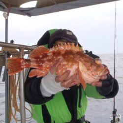 ジギング＆タイラバで玄界灘へGO～～～～～