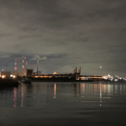 バチ抜けシーズンk開始か⁉︎