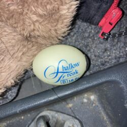 満潮潮止まり前後のフロートアジング