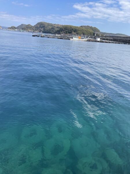 デカキモパン！