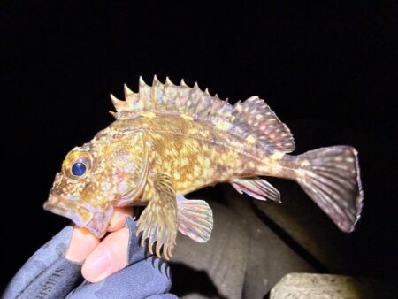 リハビリメバリング