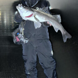 Xデイの前日大潮三日目でも楽しめた！