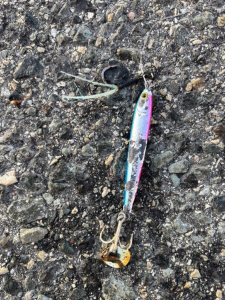 ショアジギング 4