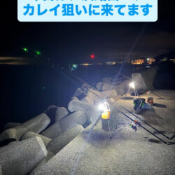 今年、初めての淡路島で、カレイ