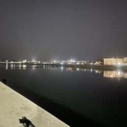 久しぶりのチヌ