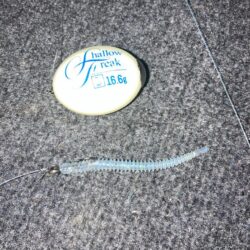 ナイト　フロートアジングでアジ14匹GET