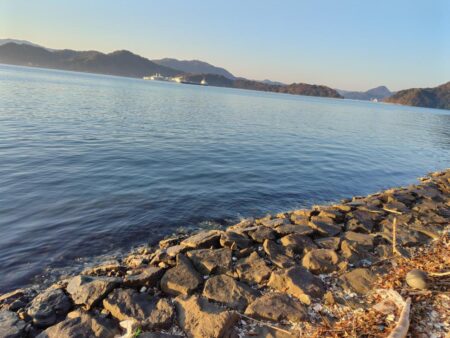 サゴシと太刀魚