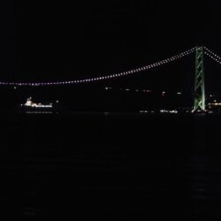 電気ウキ釣り 5