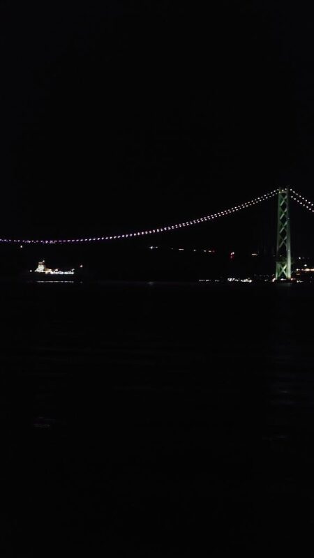 電気ウキ釣り 5