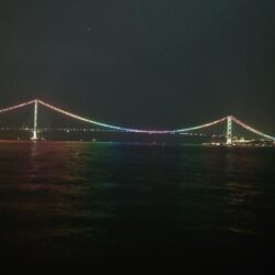 電気ウキ釣り 6