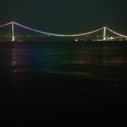 電気ウキ釣り 7