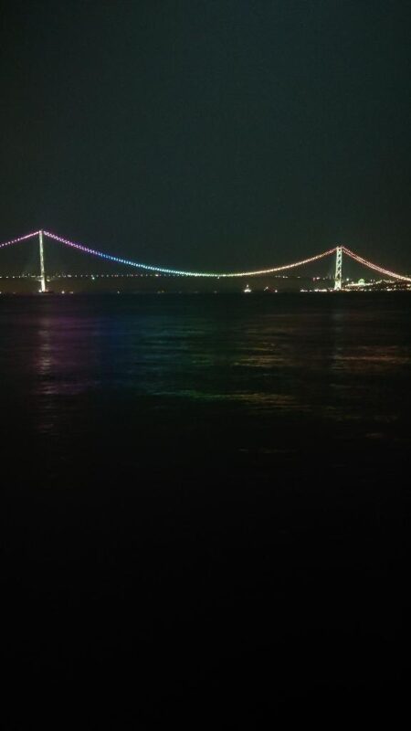 電気ウキ釣り 7