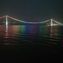 電気ウキ釣り 8