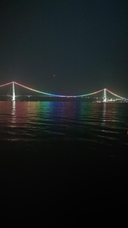 電気ウキ釣り 8