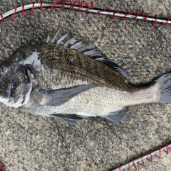 イチノ兄弟、釣果！