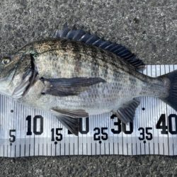 イチノ兄弟、釣果！