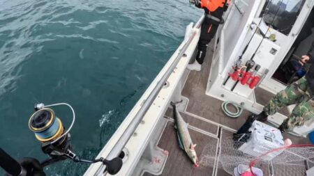 ブレードジギング