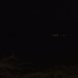 久々の河川シーバス