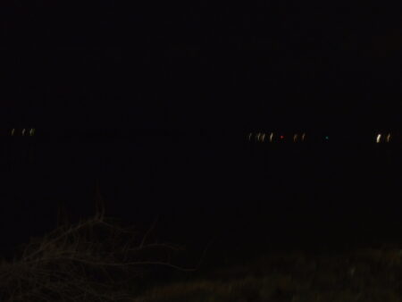 久々の河川シーバス