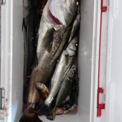 爆風ライトゲームでランカーGET❗️