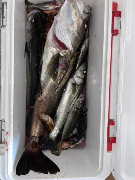 爆風ライトゲームでランカーGET❗️