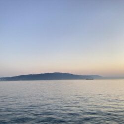 良型メバルにカサゴ入れ食い！