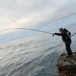 和歌山市江(吉丸渡船)でグレ釣り