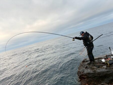 和歌山市江(吉丸渡船)でグレ釣り