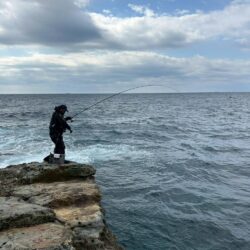和歌山市江(吉丸渡船)でグレ釣り