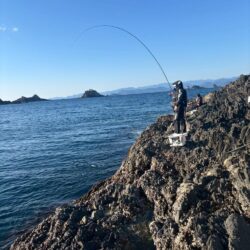三重県錦（坂口渡船）でグレ釣り