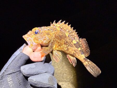 リハビリメバリング