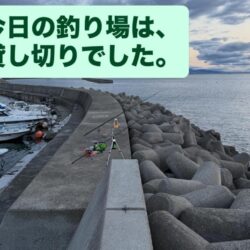 今年、初めての淡路島で、カレイ