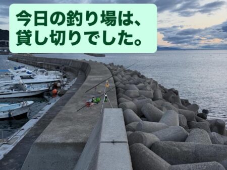 今年、初めての淡路島で、カレイ