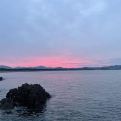 寒グレ、乗っ込み?チヌ