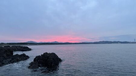 寒グレ、乗っ込み?チヌ