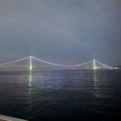 バレンタインデーメバリング