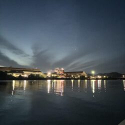 ナイトシンペンでチヌ!