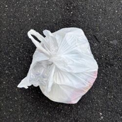 清掃活動：久しぶりのチヌ釣れました