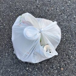 清掃活動：久々のハネ釣れました