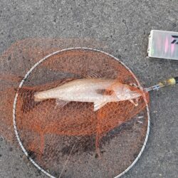 今年の初釣り(^^)