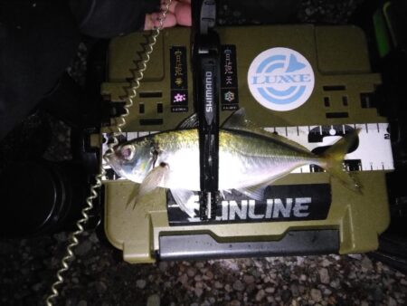 数年ぶりのリベンジへ。